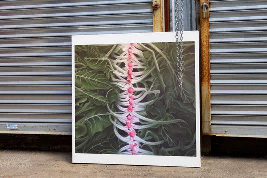 Bente Christensen-Ernst Denmark/Turkey ∙ Spineless 2016